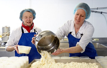 Free digital banking for 12 months